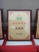 北京京藝鑫廣告公司 專(zhuān)業(yè)廣告發(fā)布，產(chǎn)品相冊(cè)圖片打造卓越視覺(jué)體驗(yàn)